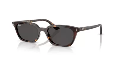 Ray-Ban Zaya RB4456 135987 50